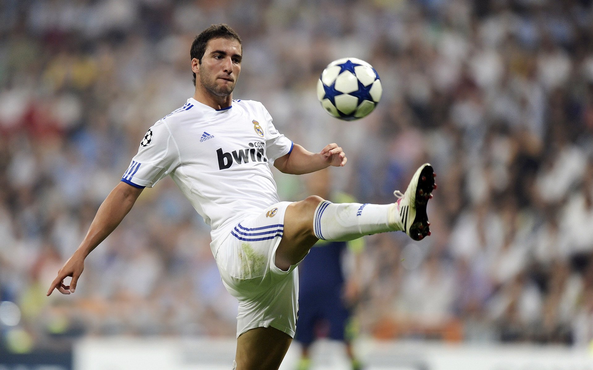 托里·哈斯克女子100米自由泳决赛精彩亮相