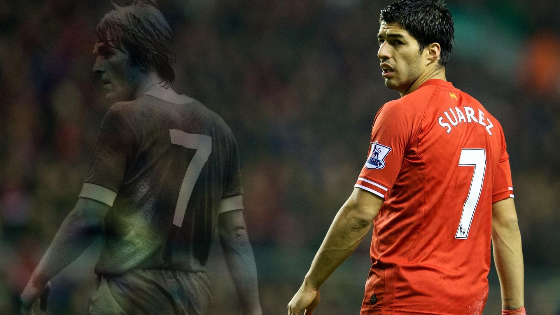 美洲杯明星争锋：场上技艺与战斗精神的交融，美洲杯人气